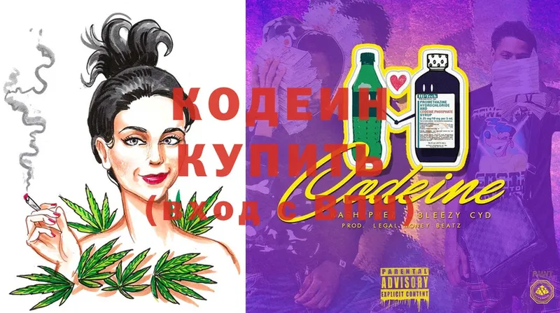 купить закладку  Новочебоксарск  Кодеин Purple Drank 